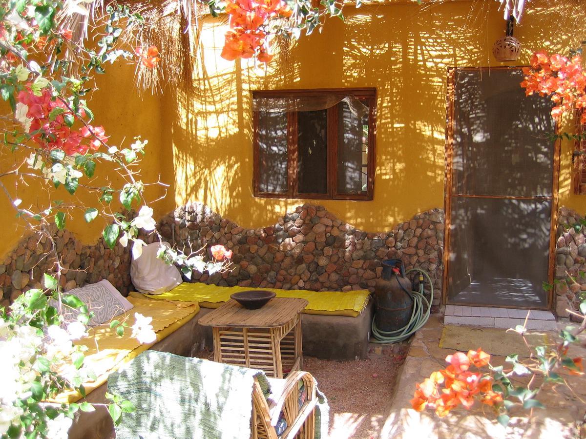 Jillyfish House, Deine Oase In Zwei Palmengarten, Central Am 'Lighthouse' Dahab Buitenkant foto